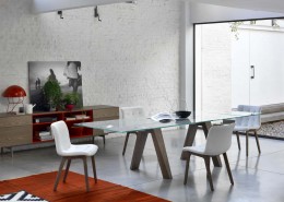 1352882701_aron_olmo1w